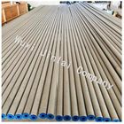 ASTM A789 S31803 S32205 0.3mm 3mm Hot Rolled Seamless Steel Pipe