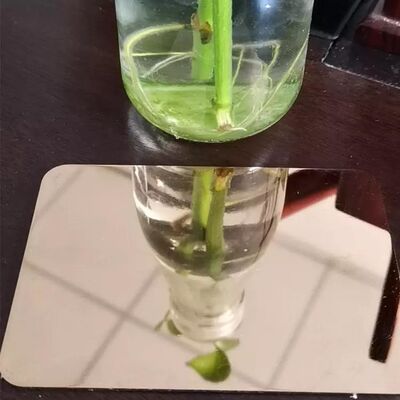 Buy Hot Rolled 316 Stainless Steel Sheet For Wall Punching With BA 2B 8K HL Surface online manufacture